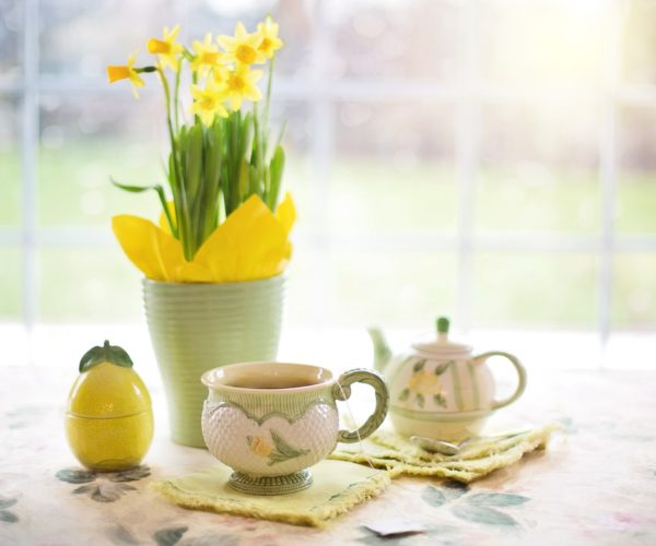 daffodils-1316127_1920 daffodils-1316127_1920